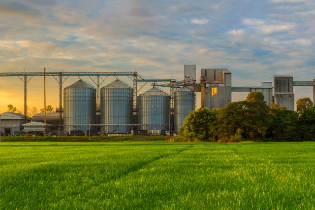 Foto panoramica Planta Agroindustrial